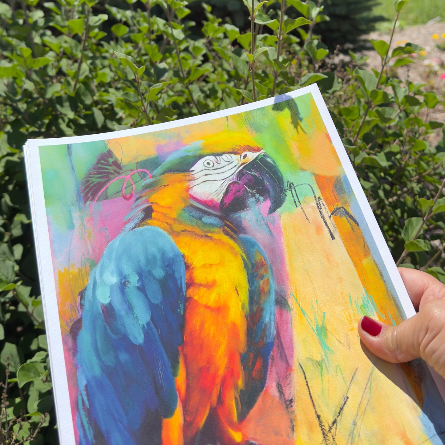 Here I Am  - Fine Art Print