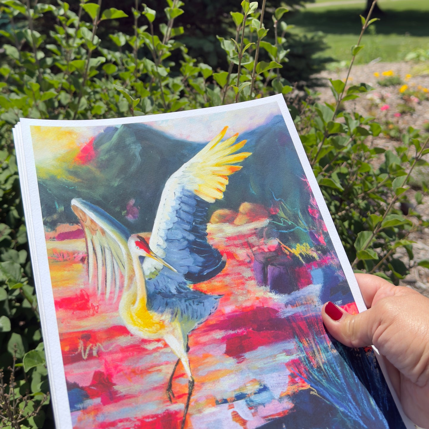 New Wings - Fine Art Print